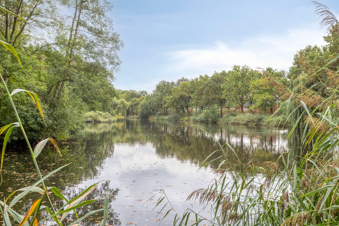 Photo 62 of Kortenhorststraat 17