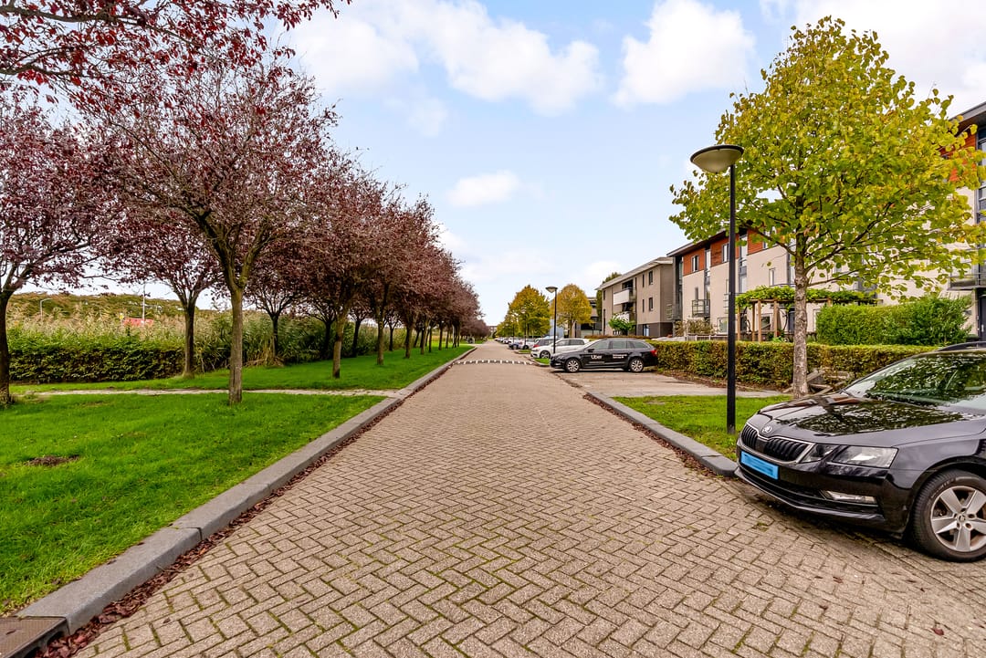 Photo 38 of Gran Canariastraat 14