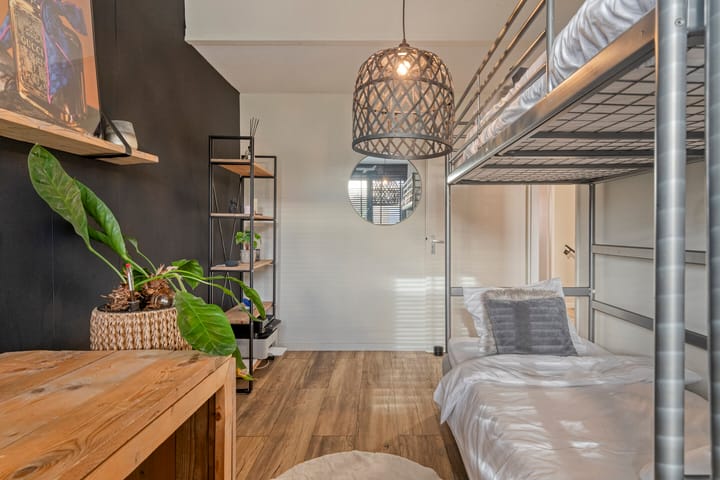 Foto 19 van IJsvogel 19