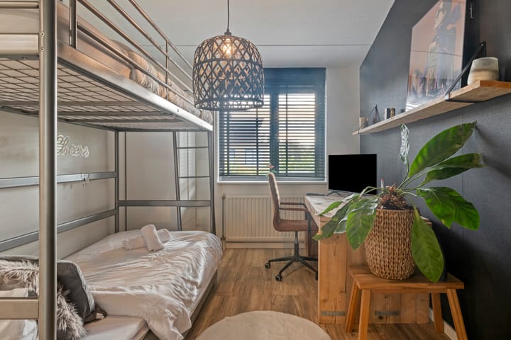 Foto 20 van IJsvogel 19