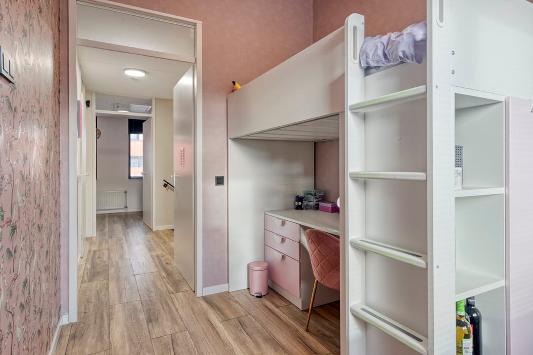 Photo 22 of IJsvogel 19