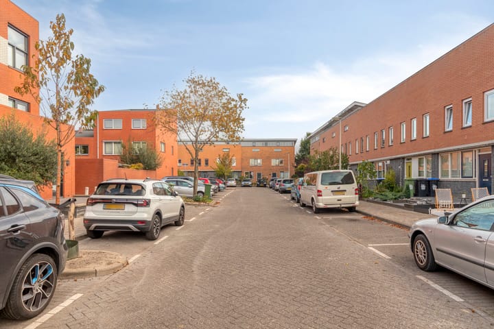 Foto 28 van IJsvogel 19