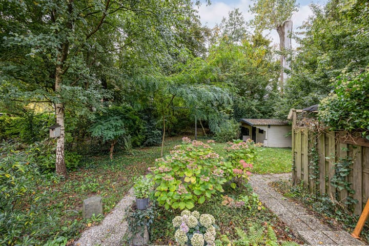 Foto 41 van Noordzoom 48