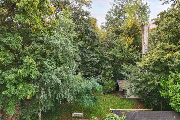 Foto 48 van Noordzoom 48