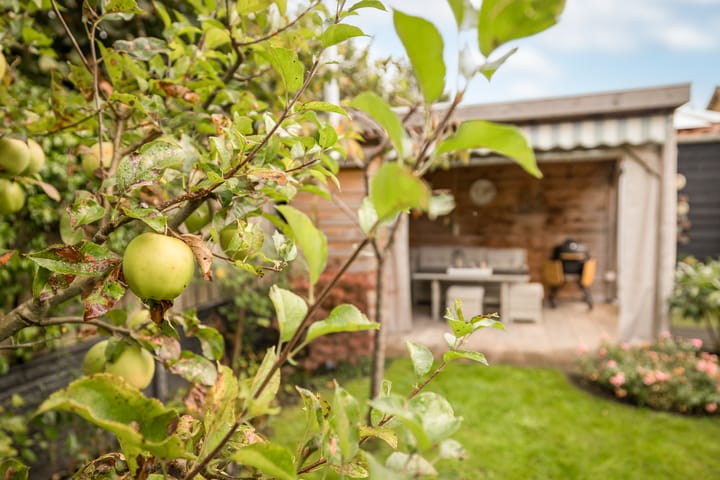 Foto 37 van Pastoor Suidgeeststraat 6