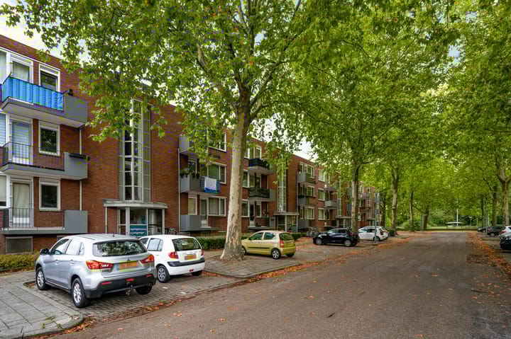 Foto 6 van Elisabethsdal 15