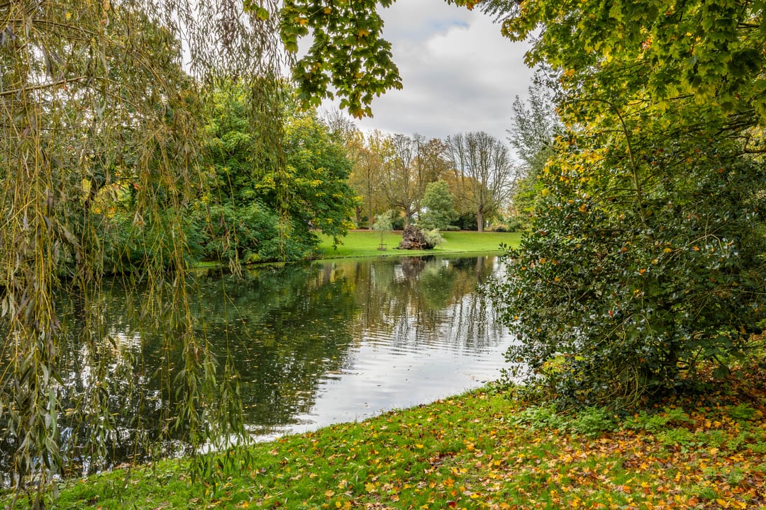 Foto 43 van Melkweg 36