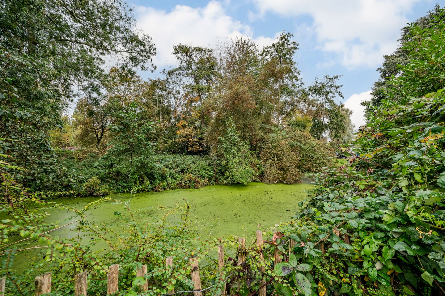 Foto 14 van Gerstkamp 29