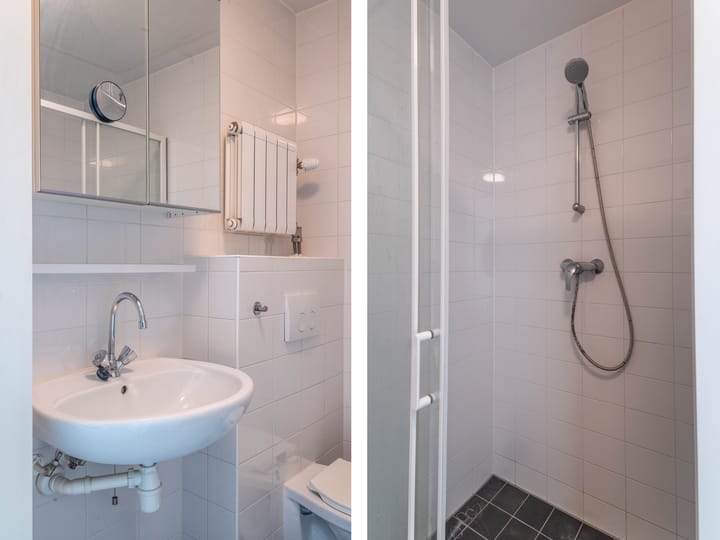 Foto 15 van Bos en Lommerplantsoen 19-G