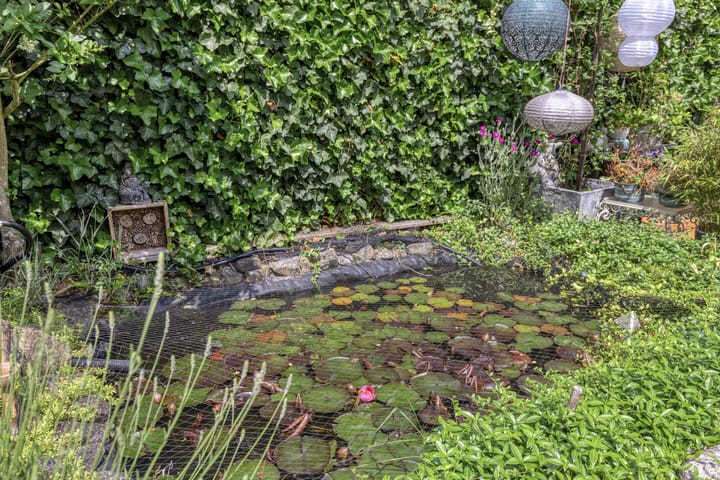 Photo 27 of Riederhof 19