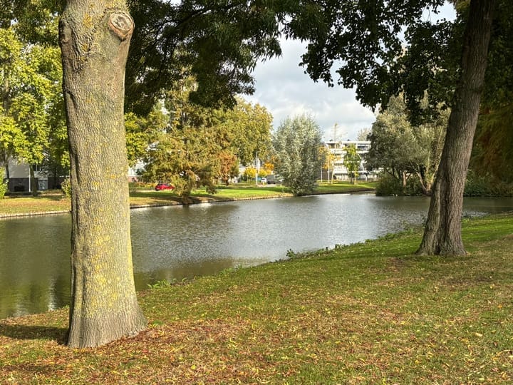 Foto 34 van Wadden 41