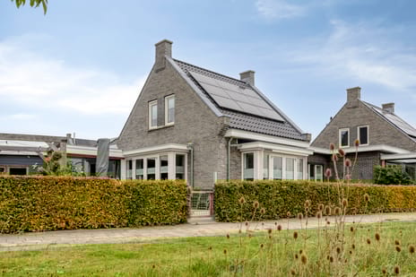 Korenbloem thumbnail