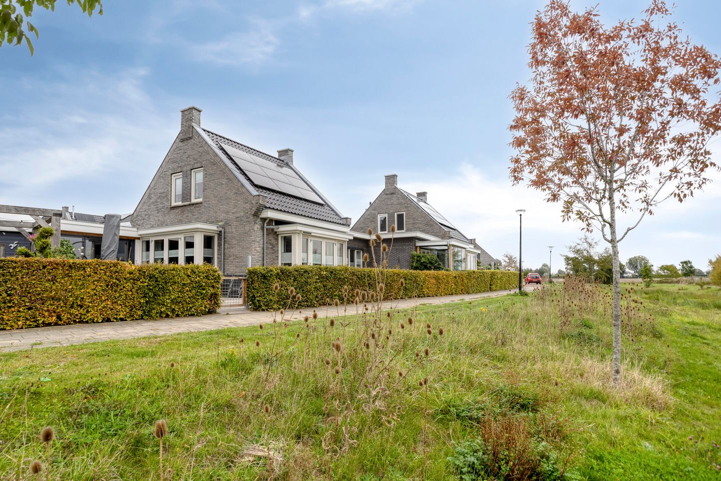 Photo 5 of Korenbloem 14