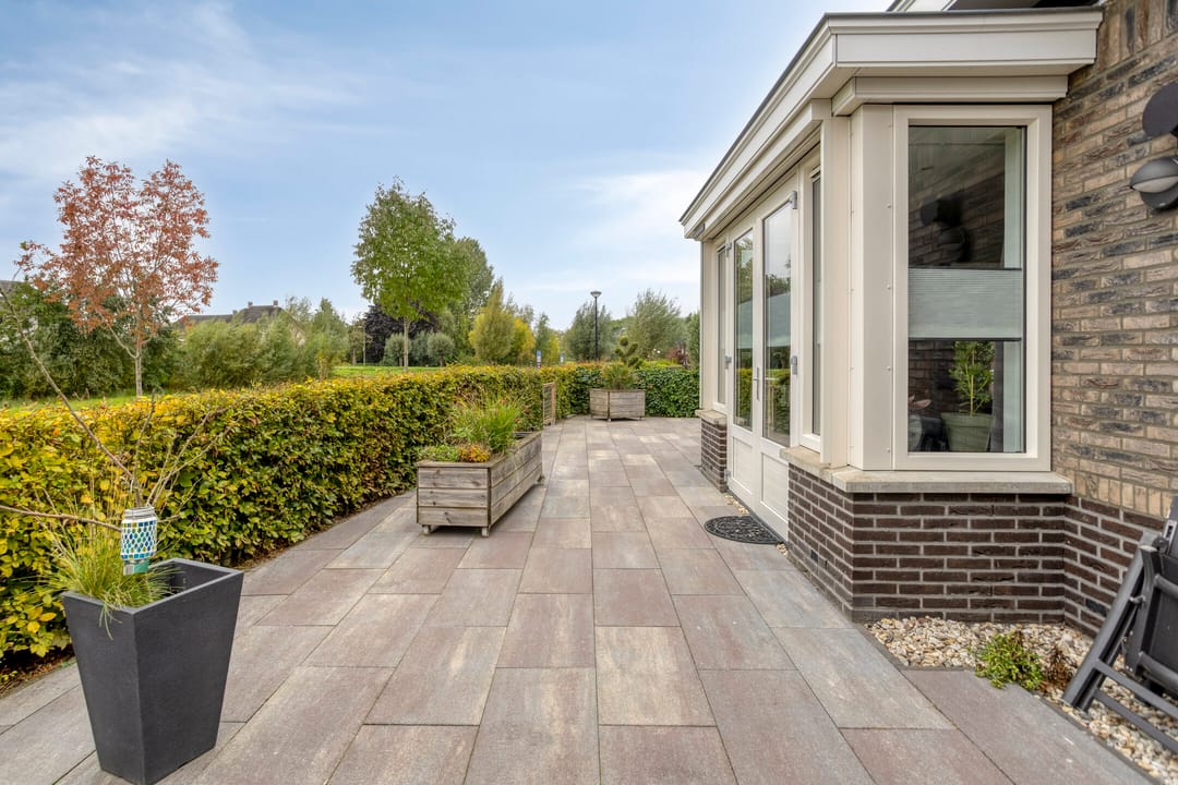 Photo 38 of Korenbloem 14