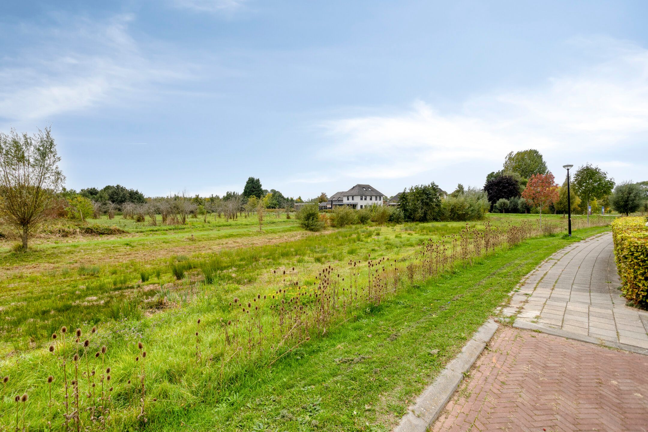 Photo 39 of Korenbloem 14