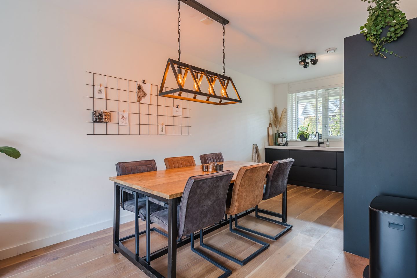 Foto 19 van Nova Zembla 23