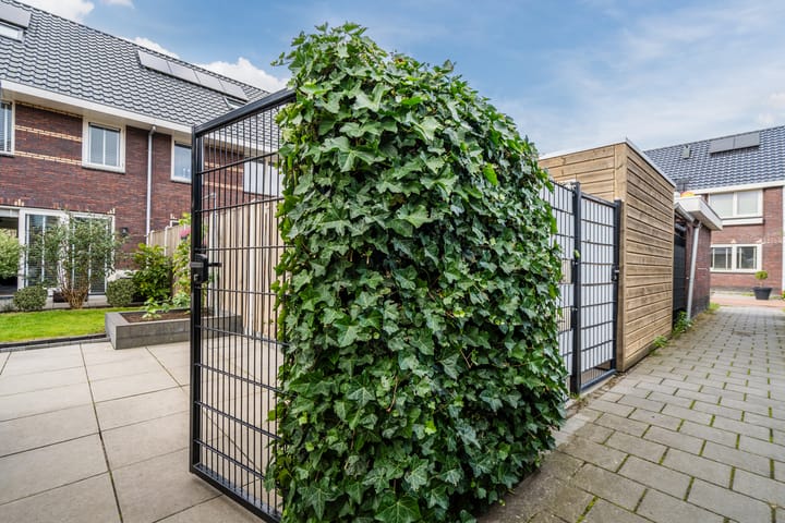 Photo 49 of Nova Zembla 23