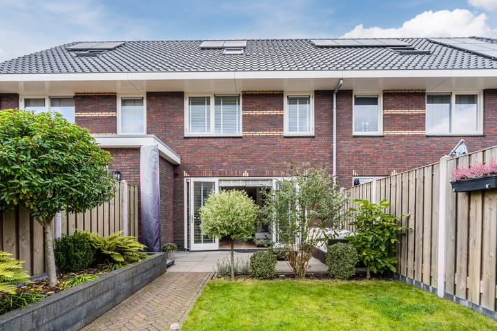 Photo 48 of Nova Zembla 23