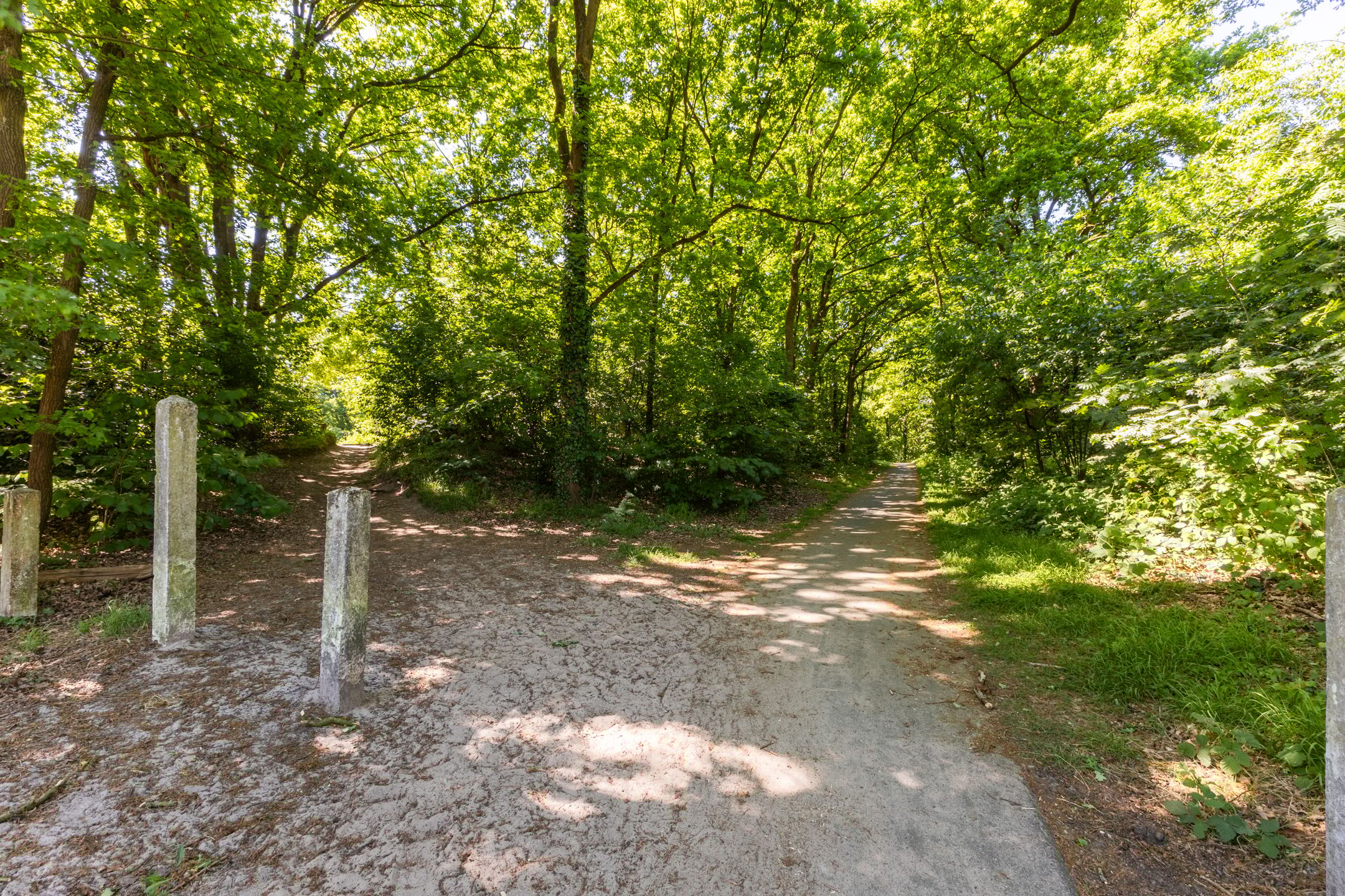 Foto 48 van Rembrandtstraat 17