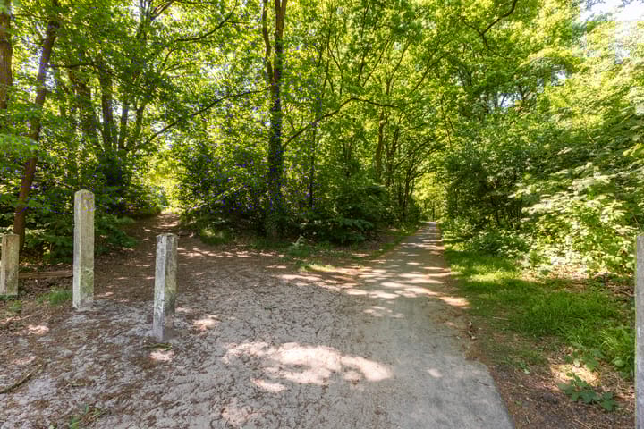 Foto 48 van Rembrandtstraat 17