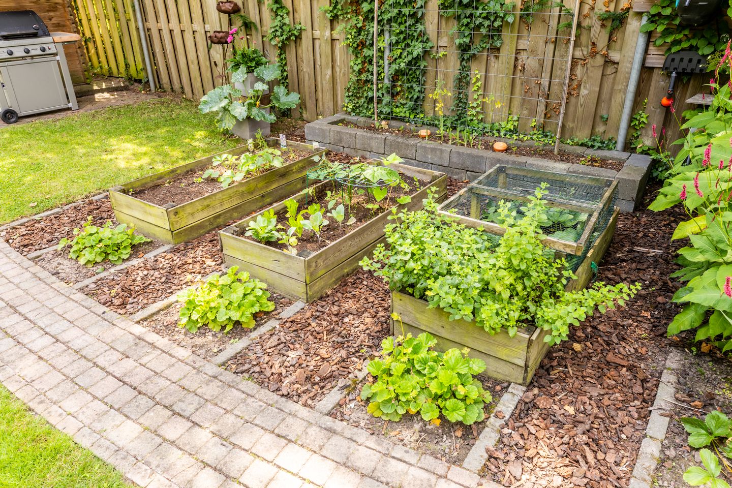 Photo 34 of Burg. Van de Venstraat 15