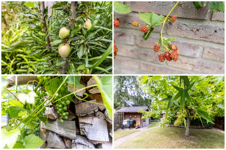 Photo 44 of Burg. Van de Venstraat 15