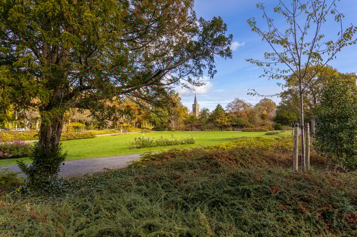 Photo 90 of Jozef Israëlsplein 4