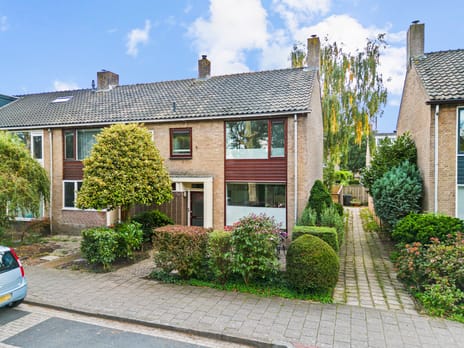 undefined main image