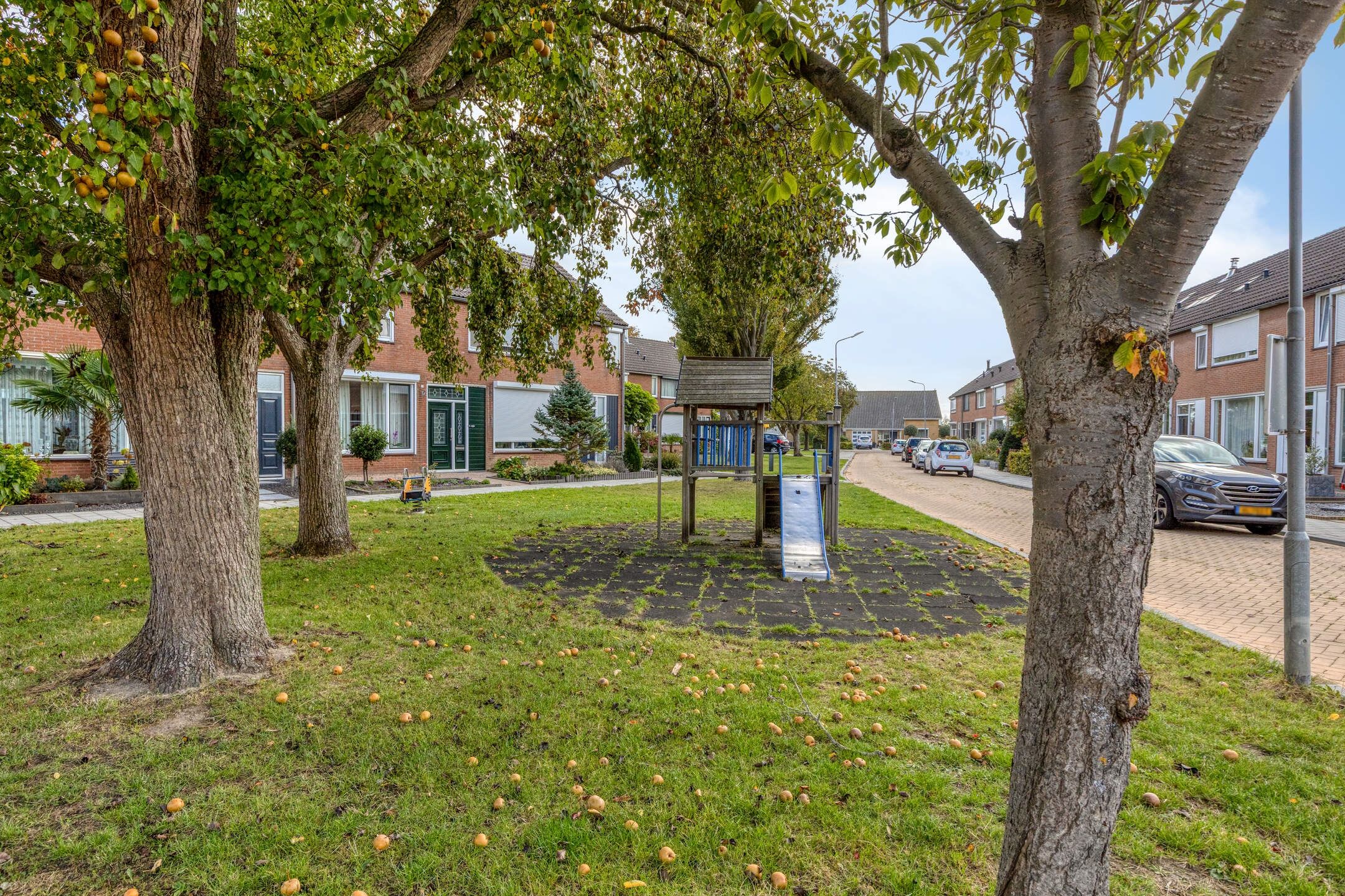 Foto 51 van Koningin Julianalaan 30