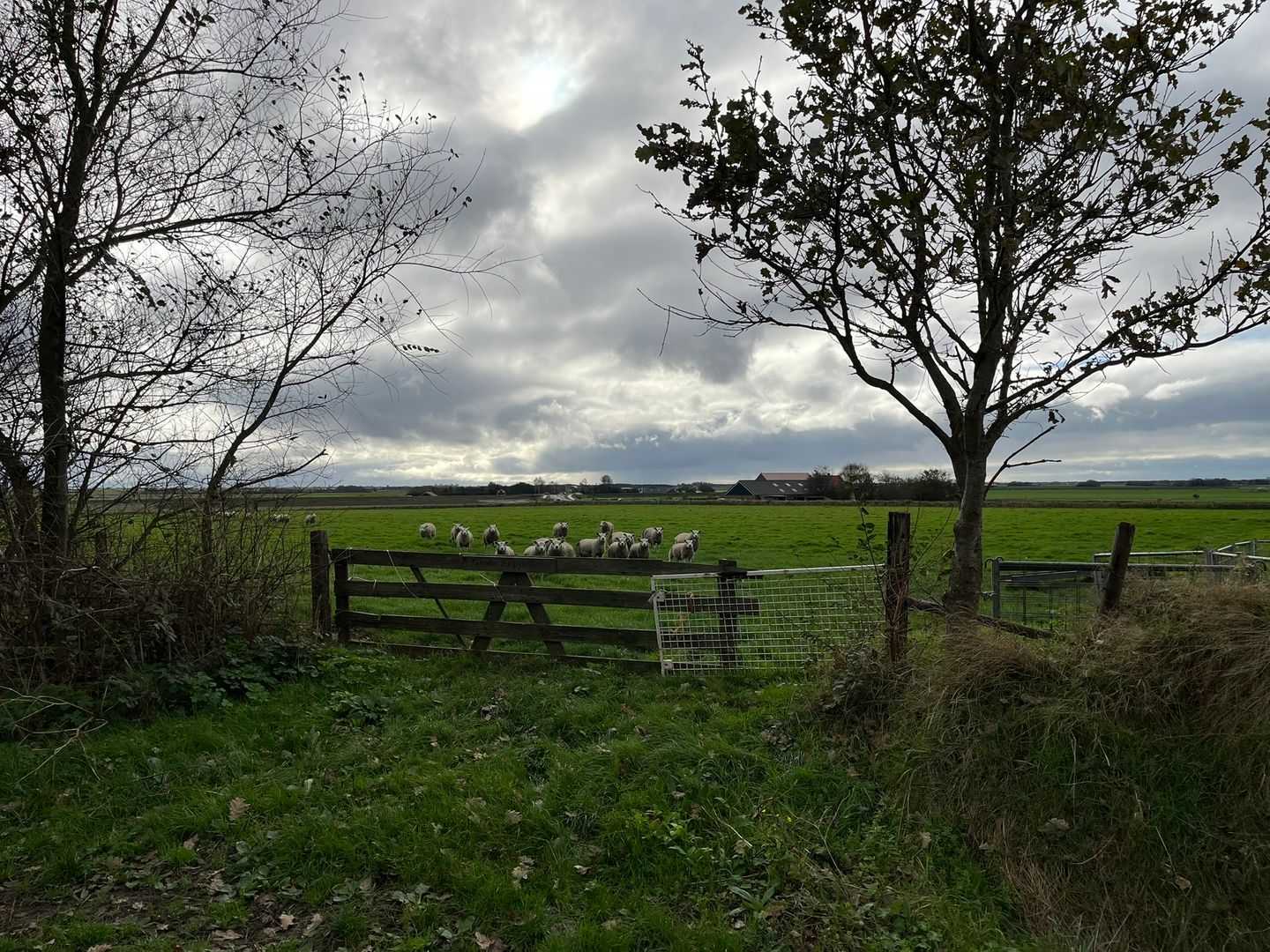 Percelen bij Waterweg - Den Burg - Afbeelding 1