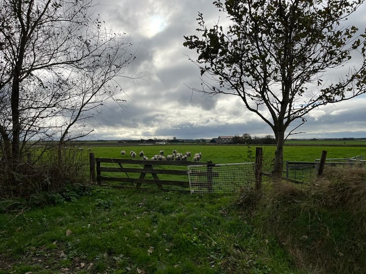 Percelen bij Waterweg, Den Burg