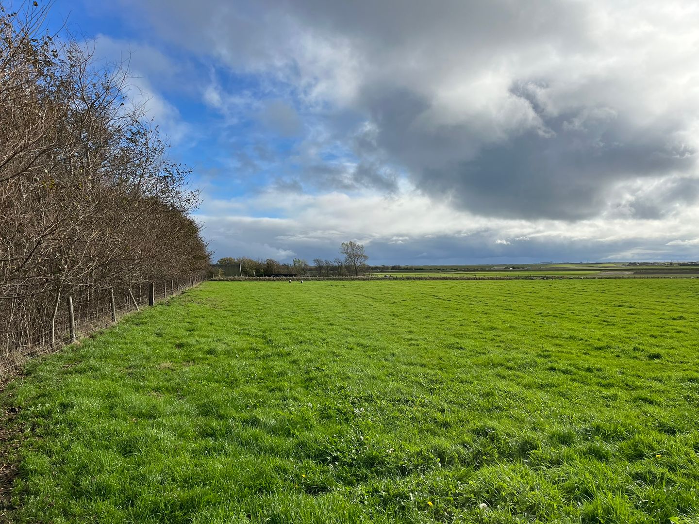Bekijk foto 5 van Percelen bij Waterweg