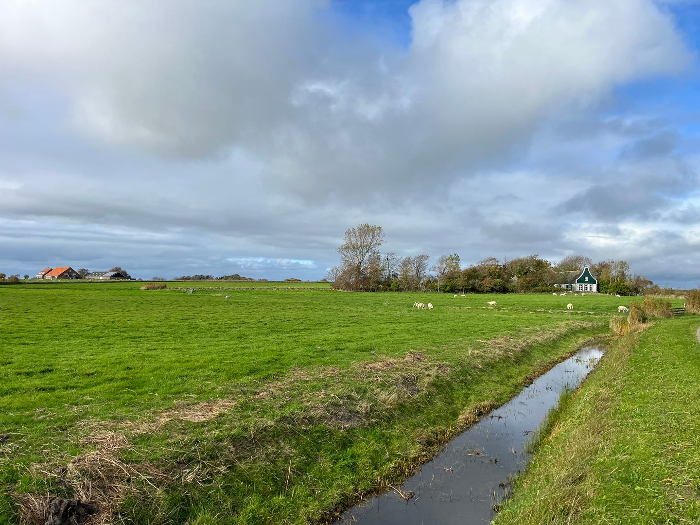Percelen bij Waterweg - Den Burg - Afbeelding 7