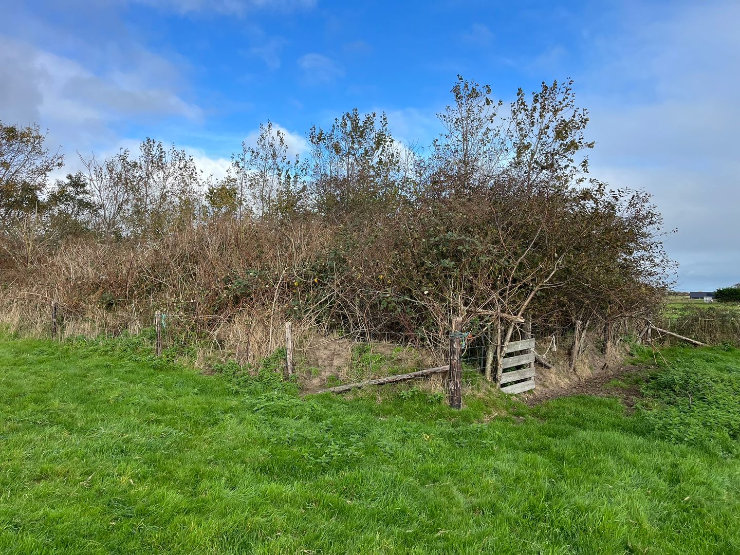 Bekijk foto 4 van Percelen bij Waterweg