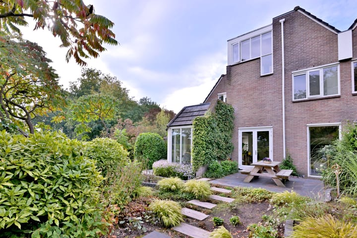 Foto 2 van Roodborst 11