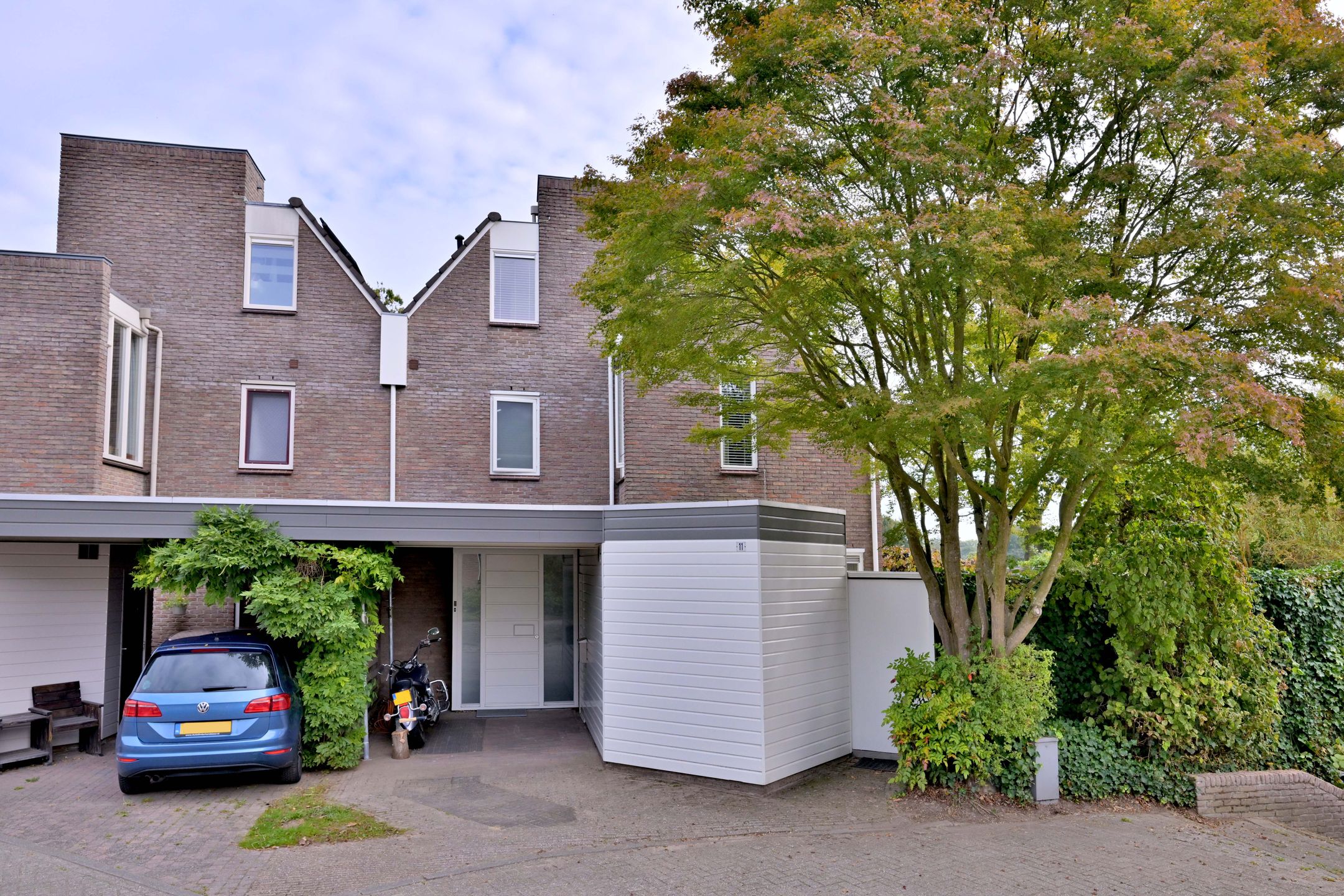 Photo 3 of Roodborst 11