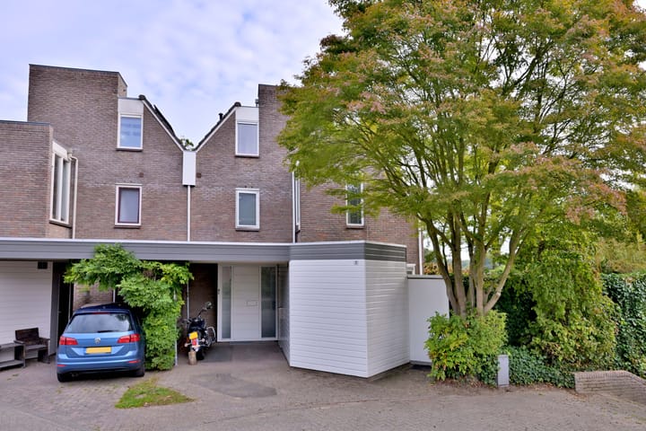 Foto 3 van Roodborst 11