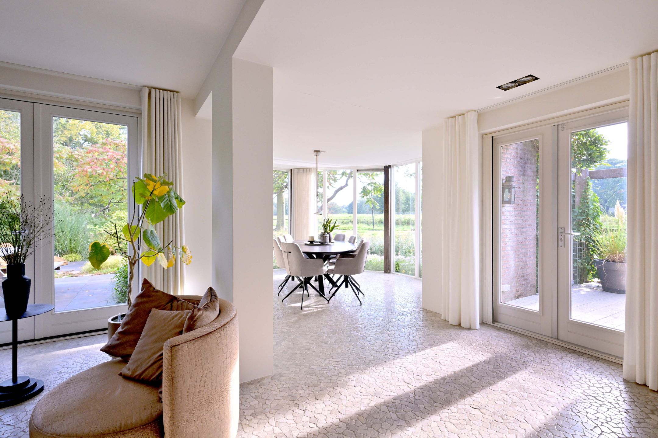 Photo 6 of Roodborst 11