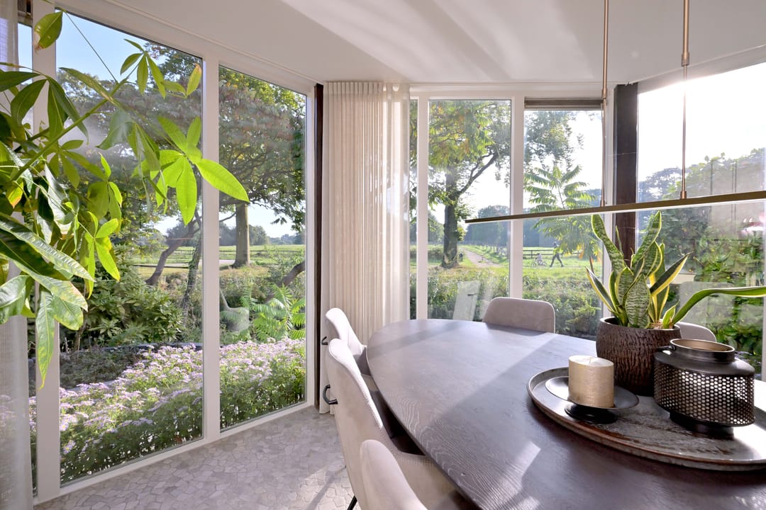 Photo 8 of Roodborst 11