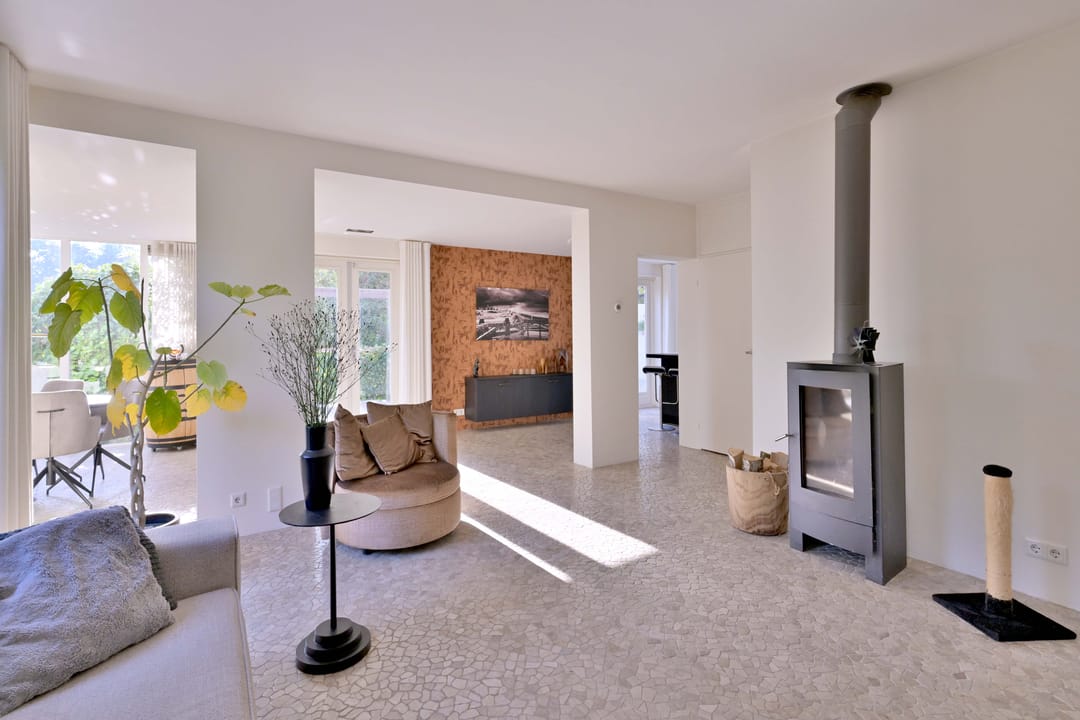 Photo 13 of Roodborst 11