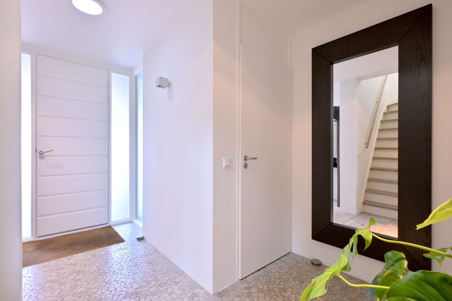 Photo 20 of Roodborst 11