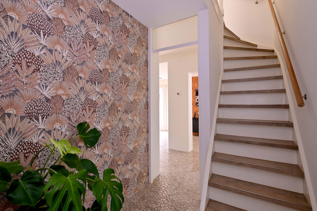 Photo 22 of Roodborst 11