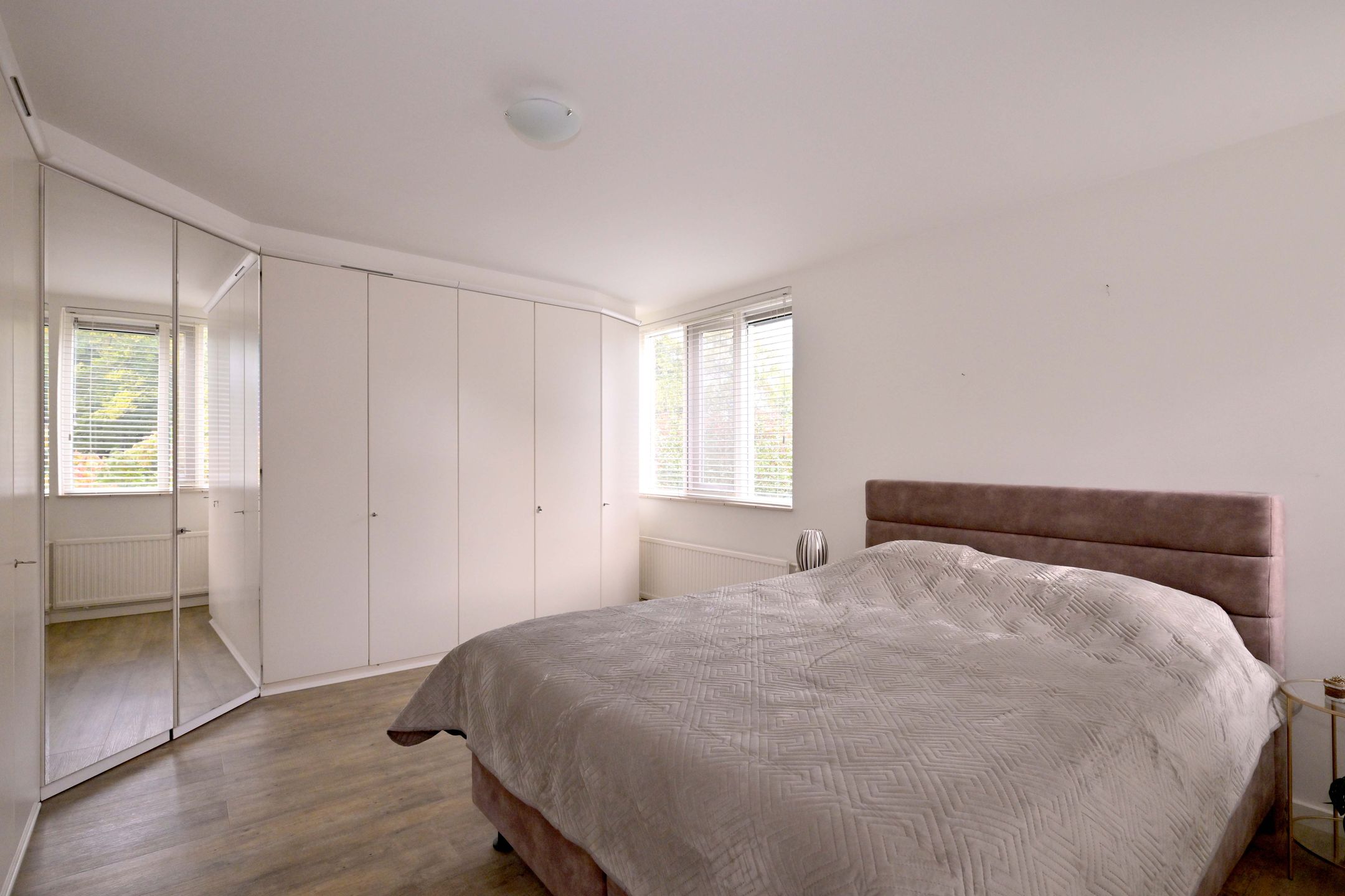 Photo 27 of Roodborst 11