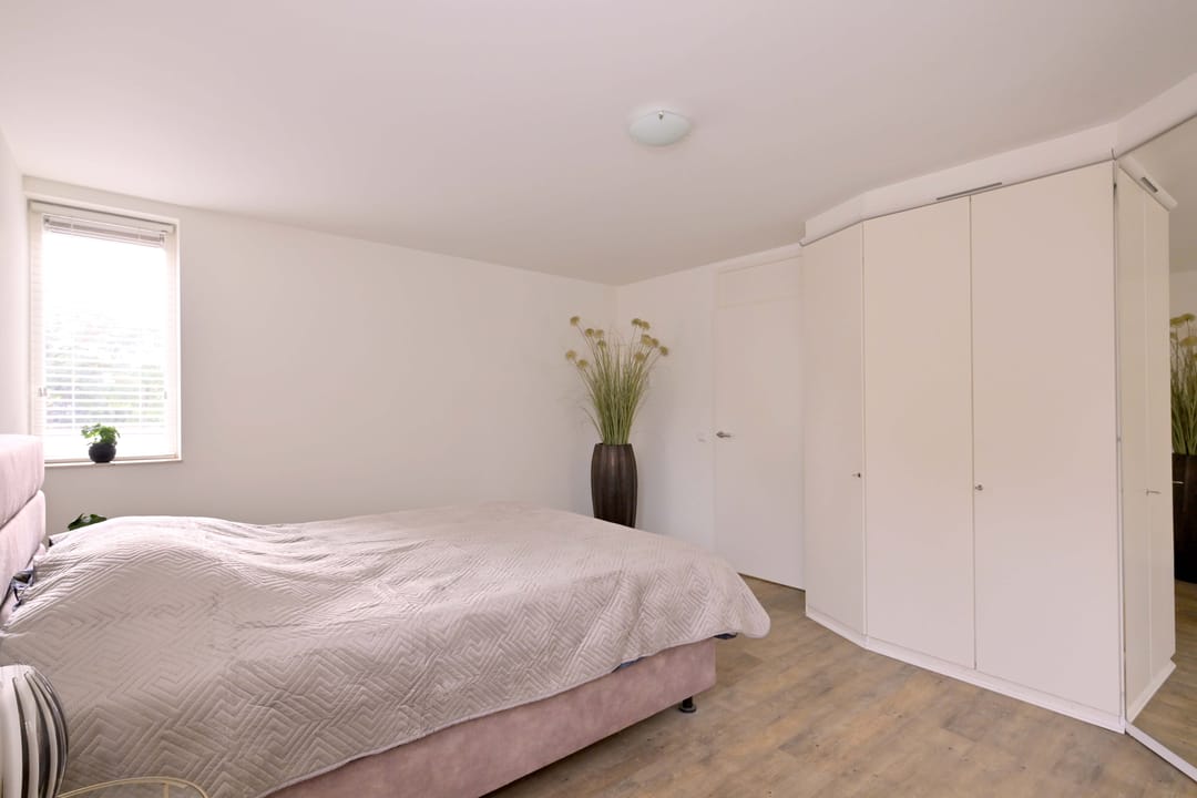 Photo 28 of Roodborst 11