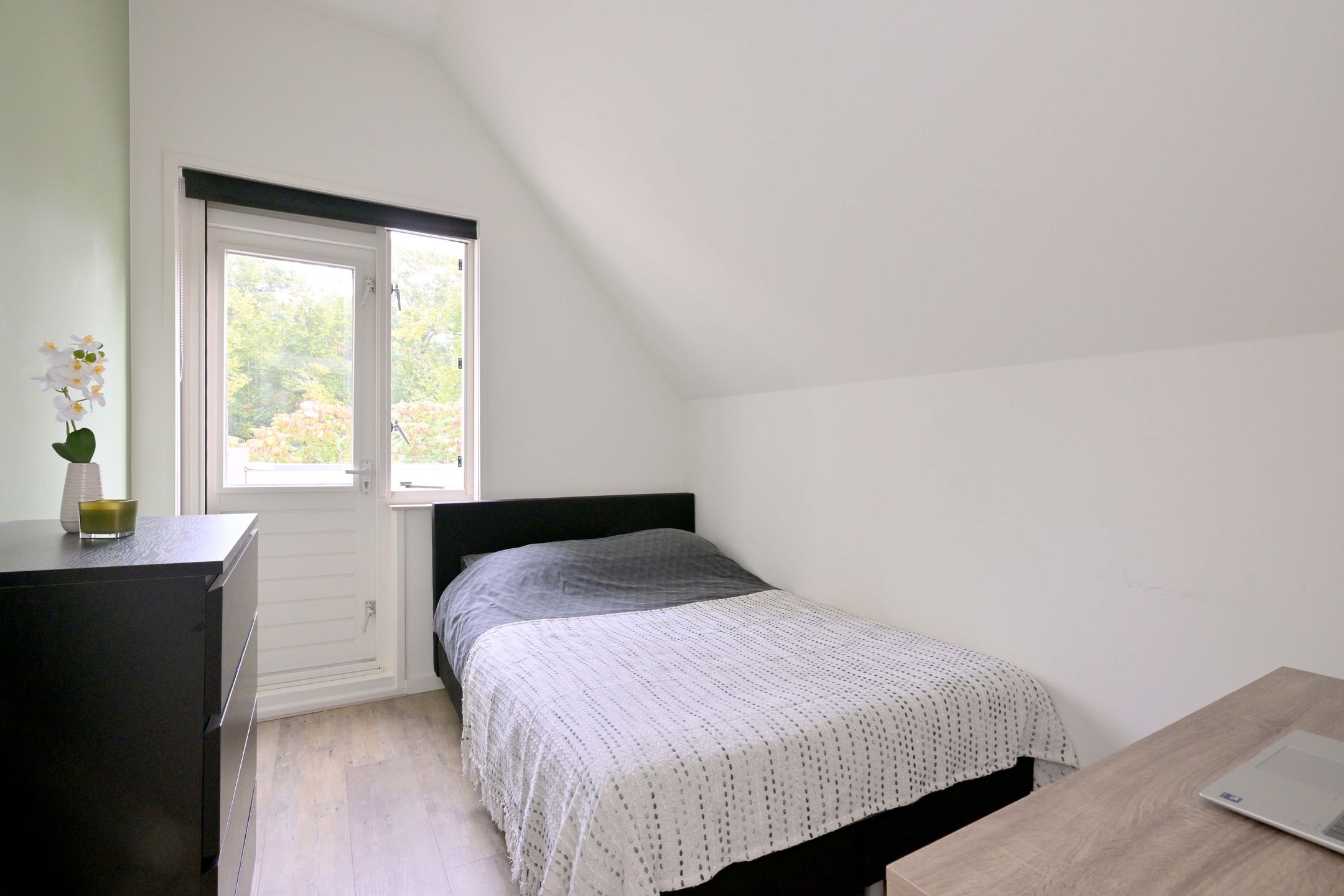 Photo 30 of Roodborst 11