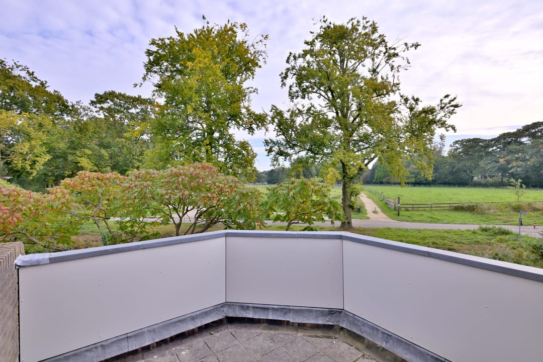 Photo 31 of Roodborst 11