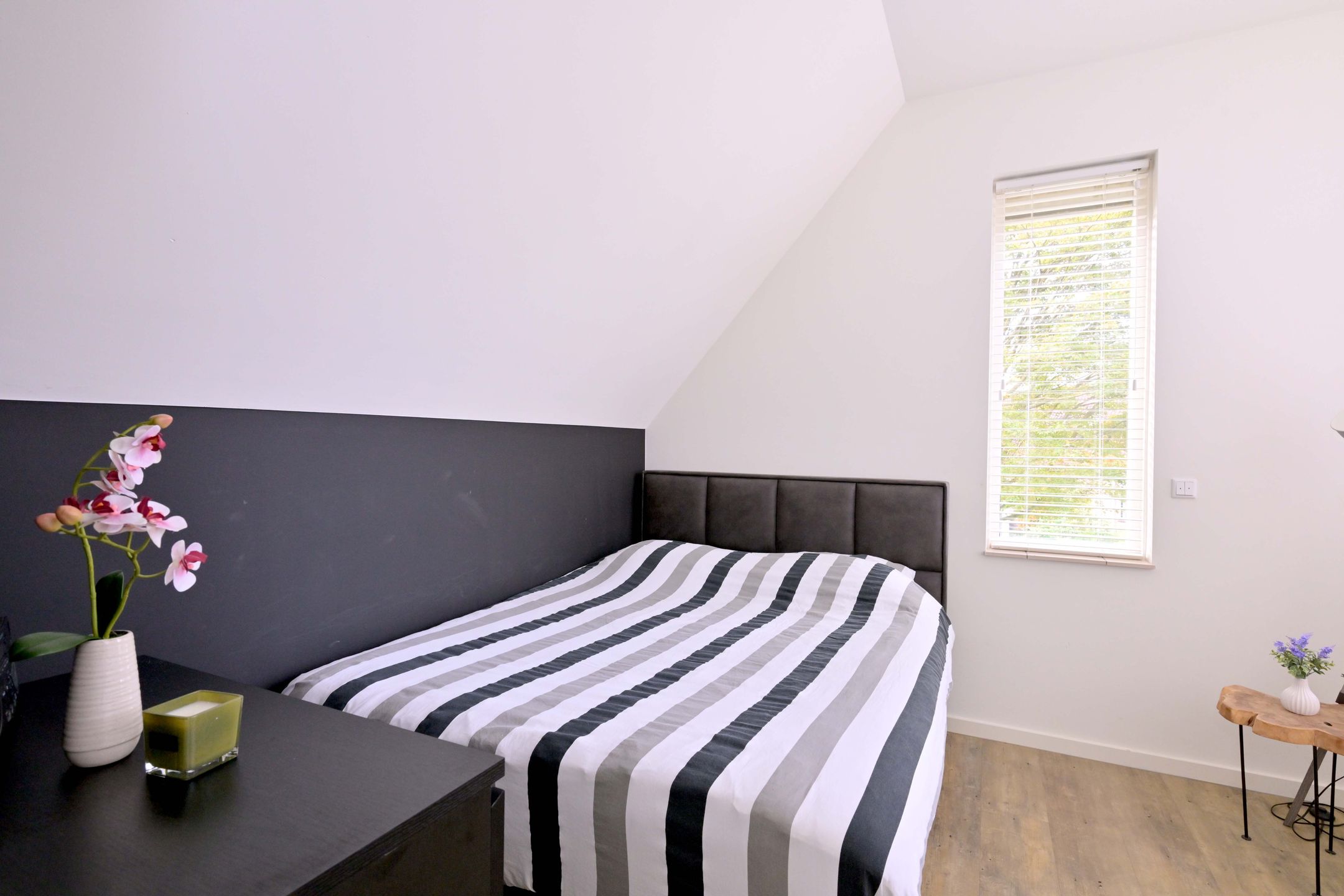 Photo 33 of Roodborst 11