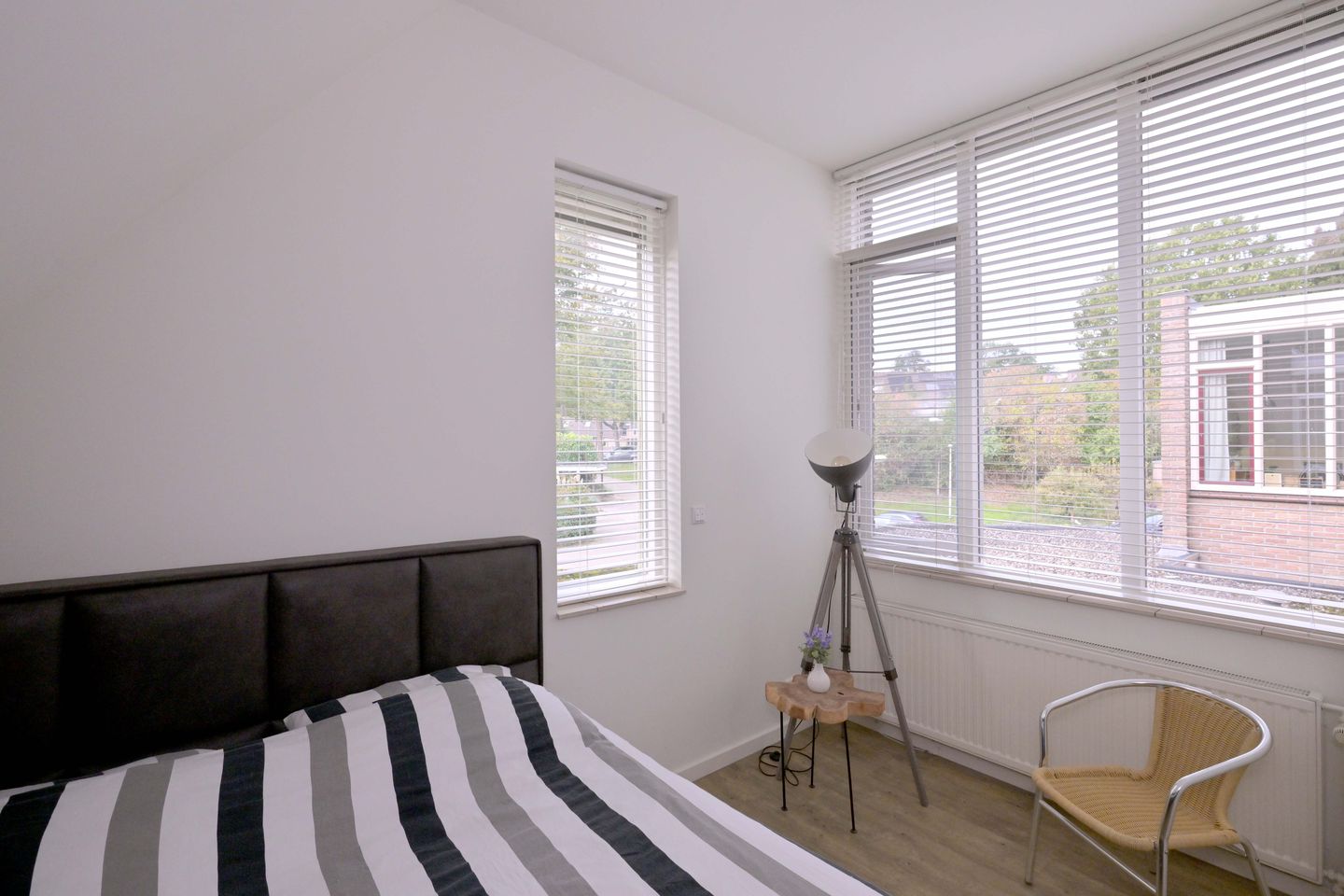 Photo 34 of Roodborst 11