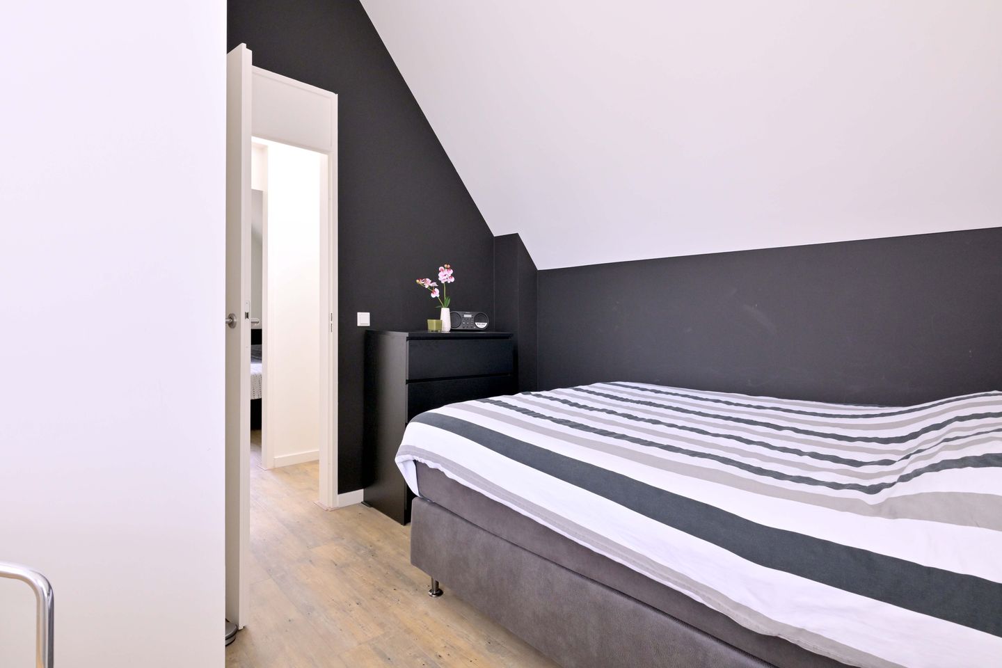 Photo 35 of Roodborst 11