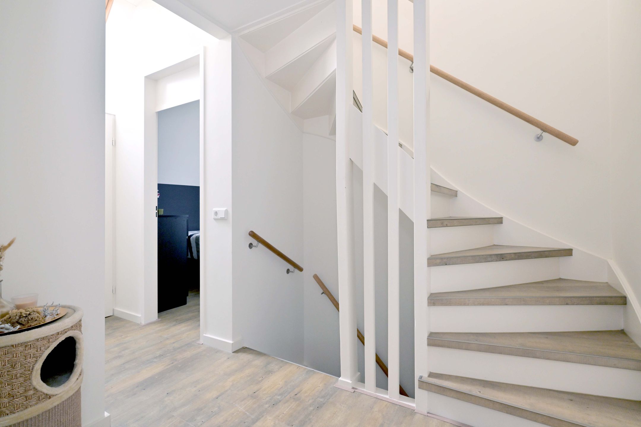 Photo 36 of Roodborst 11